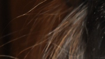 Una mínima exposición a los gases podría causar daños severos a la salud.