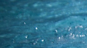 Lo creas o no, los grandes cuerpos de agua representan un riesgo casi nulo de contraer coronavirus, porque el gran volumen de agua diluye el virus. 