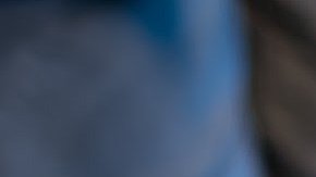 Hay una gran variedad de productos para esta temporada.