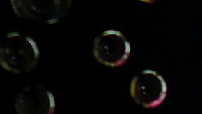 El coronavirus puede vivir de 2 a 3 días en superficies plásticas como un cepillo de dientes.