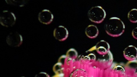 El coronavirus puede vivir de 2 a 3 días en superficies plásticas como un cepillo de dientes.