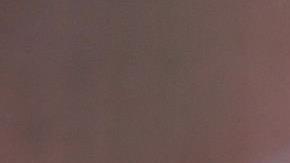 Vicente Fox, expresidente de México.