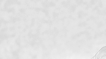 El horóscopo árabe está compuesto por 12 armas.