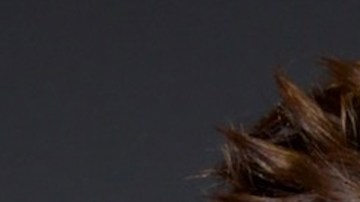 William Levy y Carmen Villalobos