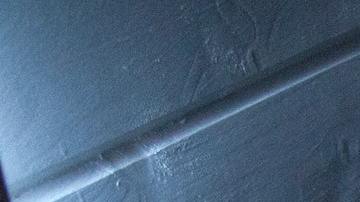 Soñar con piojos se relaciona a un mal augurio.