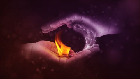 La polaridad de los signos se relaciona al principio del Yin y el Yang.