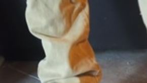 El baile de un "guerrero".