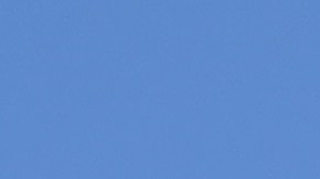 La comunidad latina respalda la lucha del movimiento Black Lives Matters en Los Ángeles.