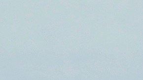 “Nole” dio la noticia a través de un comunicado.