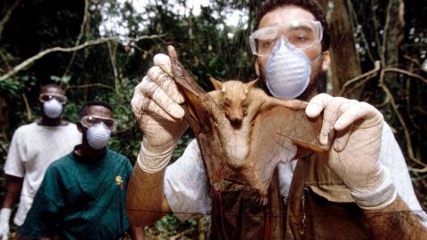 112818913_c0217081-ebola_virus_research-2