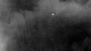 Wall Street Negro Oklahoma