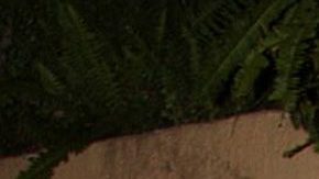 Biby Gaytán y Eduardo Capetillo