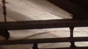 El servicio se vio alterado