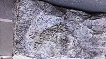 Whole Foods cerró en Union Sq, meca de las protestas