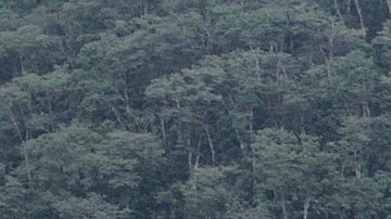 Los deslizamientos de tierra son desastres naturales peligrosos.