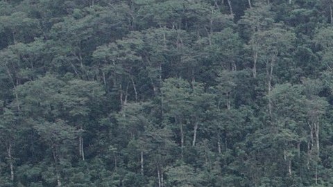 Los deslizamientos de tierra son desastres naturales peligrosos.
