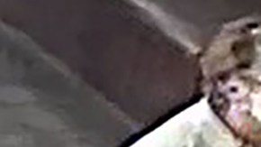 La sospechosa de toser en la cara del niño.