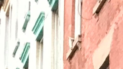 Los neoyorquinos disfrutan de comer "al fresco" con la reapertura de restaurantes.