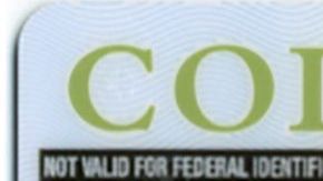 Licencia para indocumentados en Colorado.