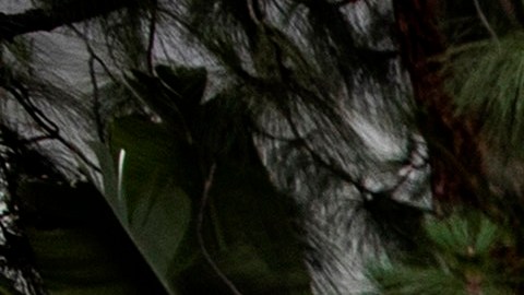 Las protestas por la muerte de George Floyd continuan en todo el país a una semana de su muerte.