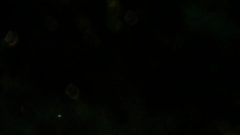 Todos los manifestantes deben llevar mascarilla y gel desinfectante.