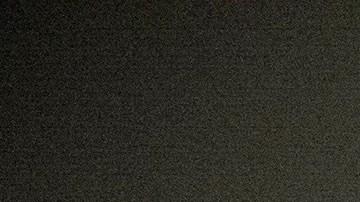 Biden solo ha adelantado que su compañera de fórmula será una mujer.