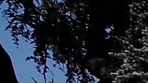 Manifestantes por la muerte de George Floyd durante concentración en Beverly Hills.