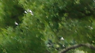 Manifestantes protestan por la muerte de Rayshard Brooks en Atlanta.
