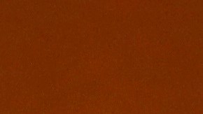 Se especulaba con que la demócrata fuera compañera de fórmula de Biden.