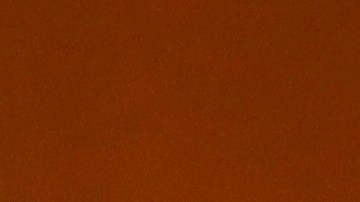 Se especulaba con que la demócrata fuera compañera de fórmula de Biden.