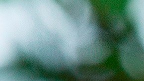 La sobrina de Trump que el presidente puede poner en riesgo a EE.UU. para mantenerse en el poder.