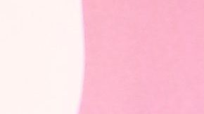 Elizabeth Gutiérrez