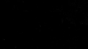 Manifestantes pacíficos con pancartas durante un protesta en Los Ángeles.