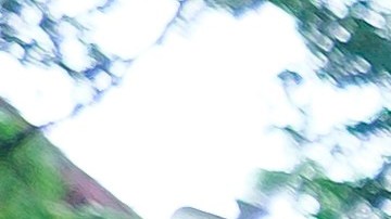 El jefe de la policía neoyorquina asegura que las protestas no han influido en la decisión.