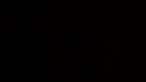 Los asistentes a mítines de Trump asumen que pueden infectarse.