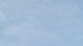 Elizabeth García se puso en cuarentena después de participar en marcha contra brutalidad policiaca. (Cortesía Elizabeth García)