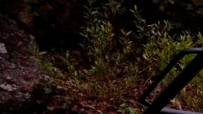 Encontraron encontrado casquillos de AK-47 y de AR-15 en la zona.