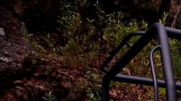 Encontraron encontrado casquillos de AK-47 y de AR-15 en la zona.