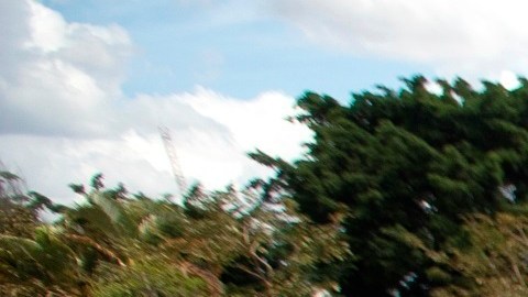 Tumbas en el cementerio de Campo da Esperança, en Brasilia.