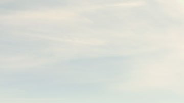 Toyota Camry 2020.
Crédito: Cortesía Toyota.