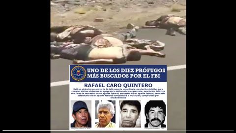 VIDEO: Caro Quintero tras la matanza de 10 a unas millas de frontera con EE.UU.