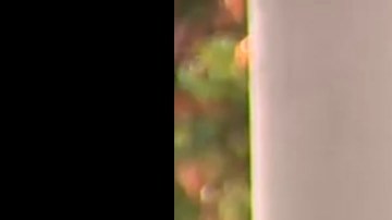 Cedillo propone once mociones.