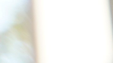 Muestra a escala del mural en San Diego.