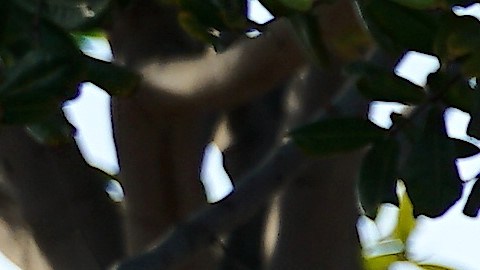 BLM se unen a la protesta en Otay Mesa.