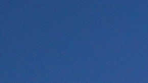 Dreamers apoyando el movimiento BLM. (Manuel Ocaño)