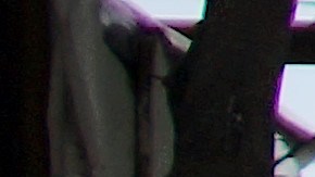 Los inmigrantes siguen estrictas medidas de limpieza en los albergues.