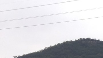 El accidente se registró en el kilómetro 122 de la carretera Oaxaca Istmo.