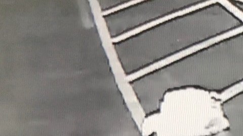 Captura de la cámara de la tienda Pawn & Guns en la que se ve a los sospechosos entrando en la tienda para robar las armas.