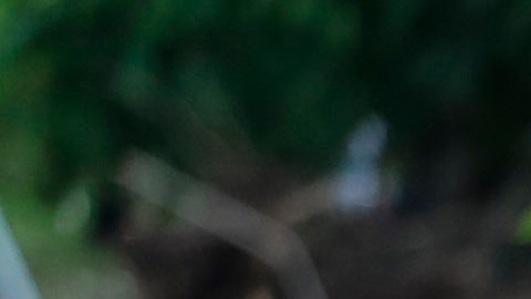 ACTUALIZACIÓN AME4344. SANTO TOMÁS (EL SALVADOR), 03/06/2020.- Un rescatista trabaja en labores de búsqueda de 7 personas que fueron soterradas por un alud de tierra en Santo Tomás (El Salvador). La cifra de personas fallecidas a causa de las lluvias que afectan a El Salvador desde el fin de semana se elevó a 27 cuando un alud soterró a una familia de 7 personas durante la madrugada de este miércoles, mientras las autoridades tratan de evitar el contagio de COVID-19 en los más de 11.000 albergados. EFE/Rodrigo Sura