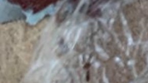 El fentanilo es 50 veces más poderoso y adictivo que la morfina